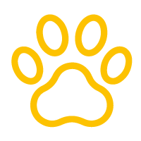 AA Icons Car Pet YELLOW