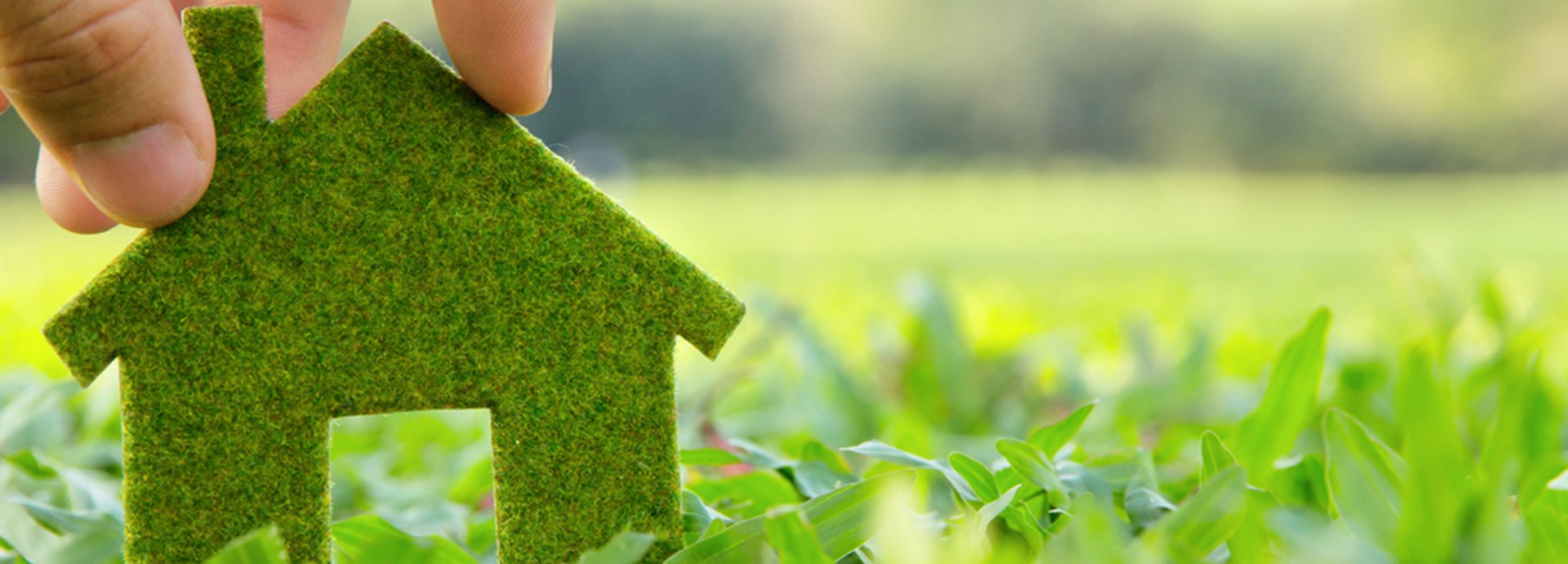 eco friendly greener home concept