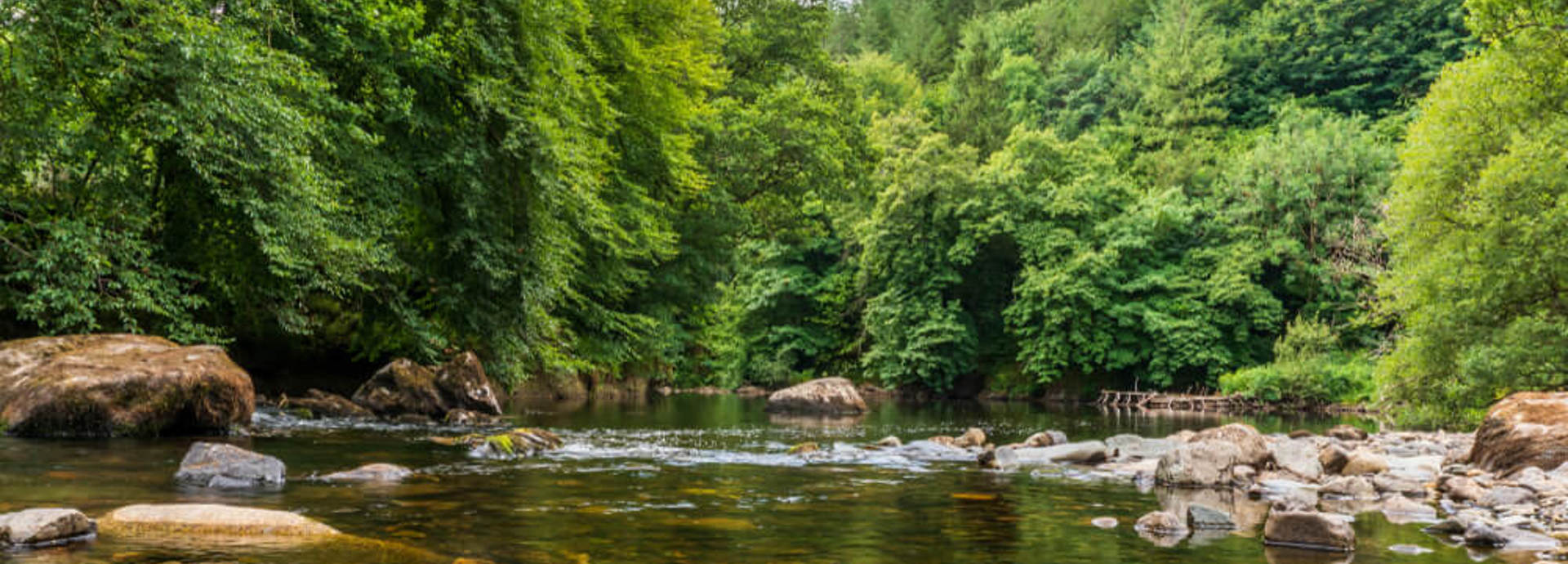 Shutterstock 1314401984 (1) (1)