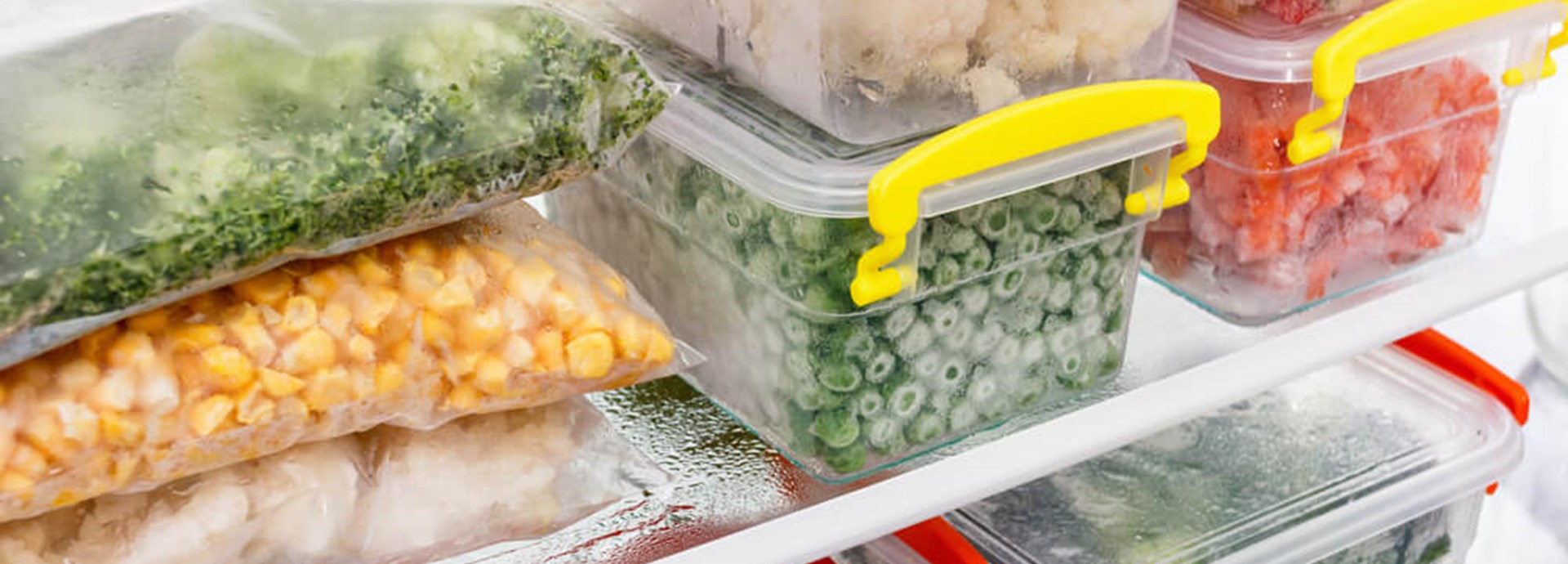 prepped food stocked in fridge