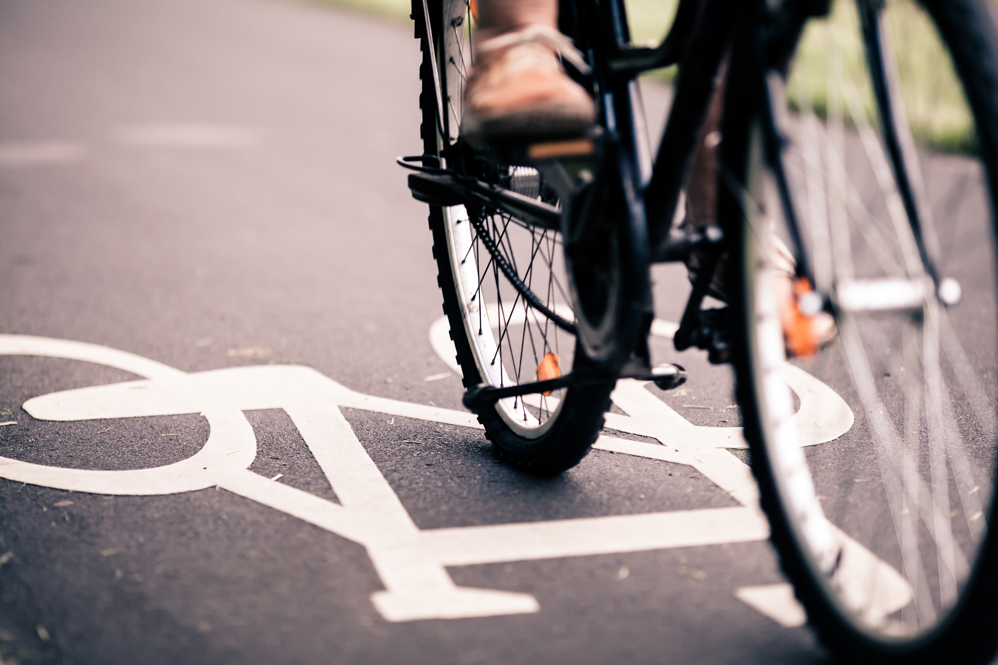 Bike Trail